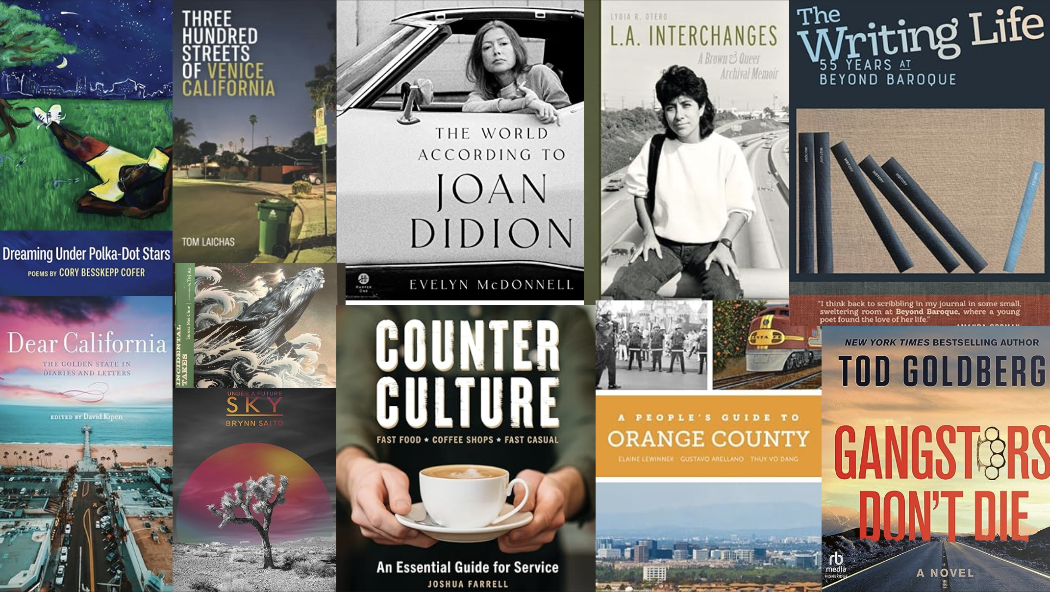 2023年出版的37本关于洛杉矶文化（及其他）的最佳书籍~L.A. TACO